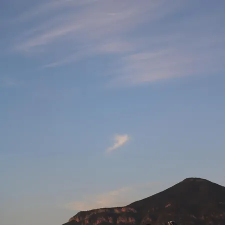 Апартаменты Urban Oasis *